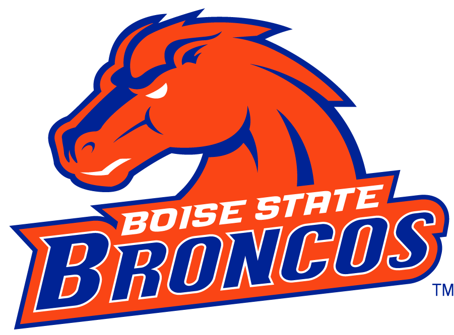 Boise State Broncos 2002-2012 Secondary Logo v8 iron on transfers for clothing